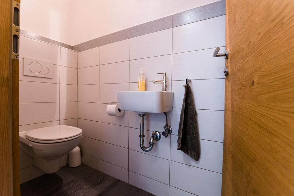 Alm Appartements Zellamsee Цел ам Зее Екстериор снимка